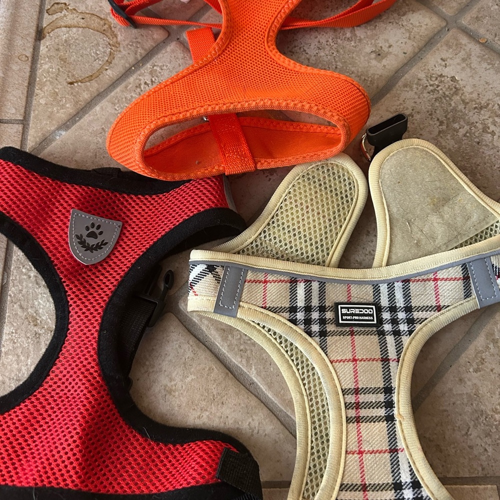 I just don’t need them anymore. My dog outgrew them.